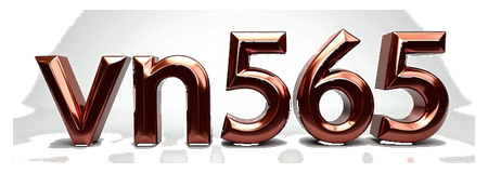 vn565 logo